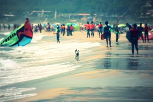 perro mar tarifa kitesurf kitesurfing surf surfing aprender learn teach teaching playa