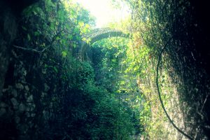 naturaleza tarifa puente ruta vistas