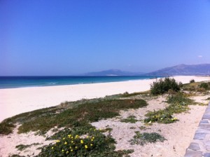 playa mar oceano montaña vistas flores beach tarifa