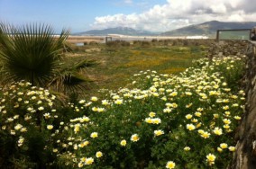 vistas tarifa playa mar oceano montaña flores sendero senderismo