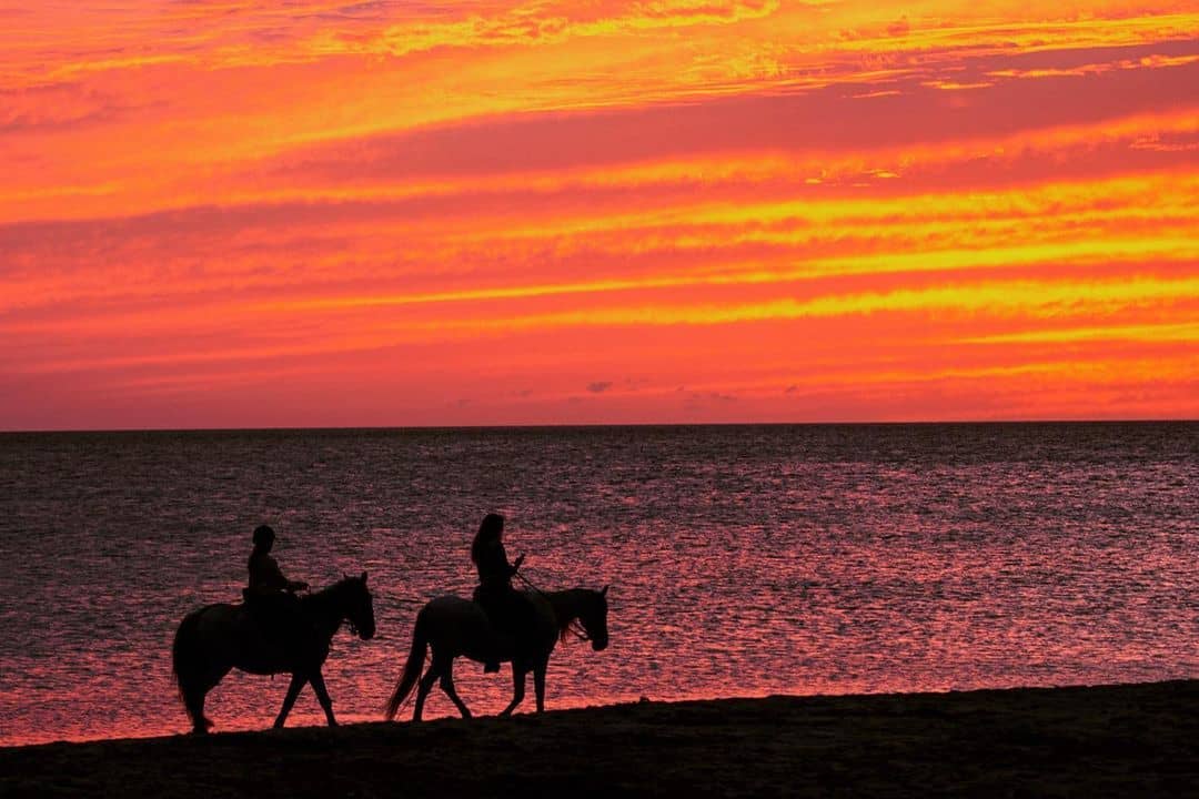 Este fue el atardecer que tuvimos ayer en Tarifa 26 de octubre de 2021. Queda inaugurada la temporada de atardeceres espectaculares.
#tarifa
#sunset
#kitesurfing
#holidays
#travelling
#atardecer
#cadizfornia
#cadiz